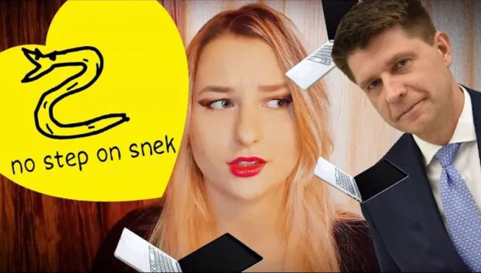 Ryszard Petru, karykatura flagi Gadsdena