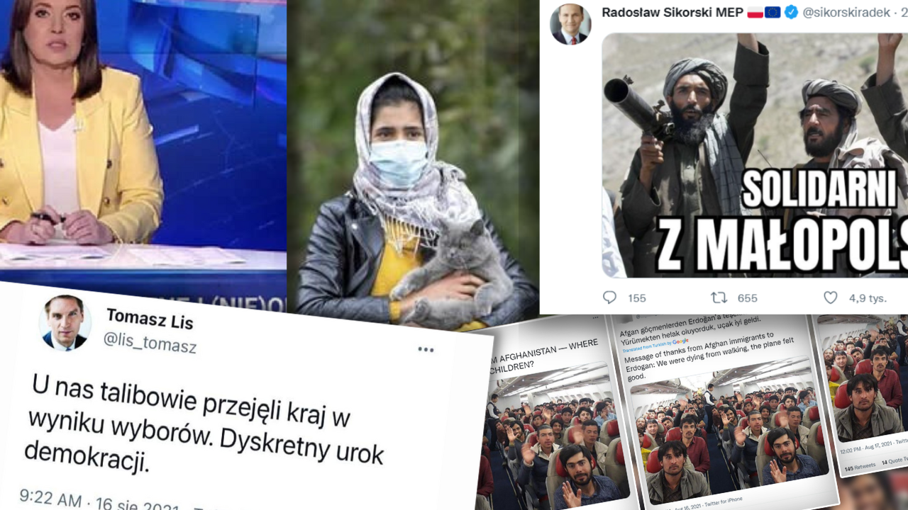 Kobieta z kotem na granicy, Danuta Holecka, screeny tweetów odnoszących się do sytuacji na granicy.